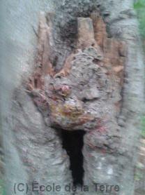 esprit mont st-bruno