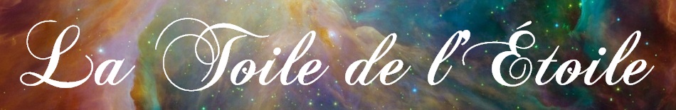 etoile_filante_toile