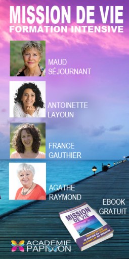 MISSION-DE-VIE300x600