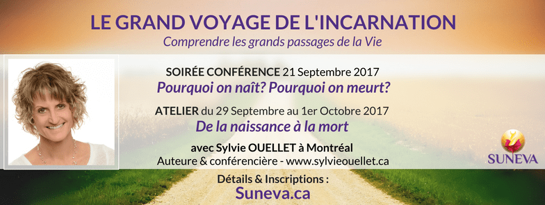 SO_incarnation_bandeau_profilFB