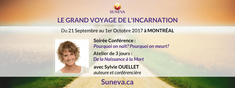 SO_incarnation_bando_general_FB