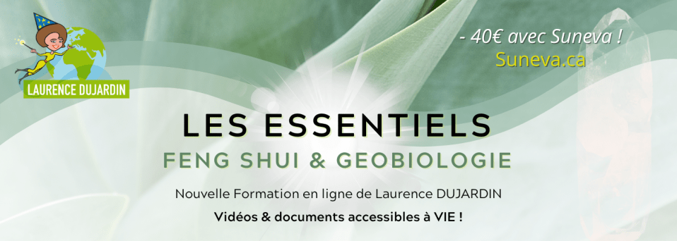 DUJARDIN essentiels bandeau